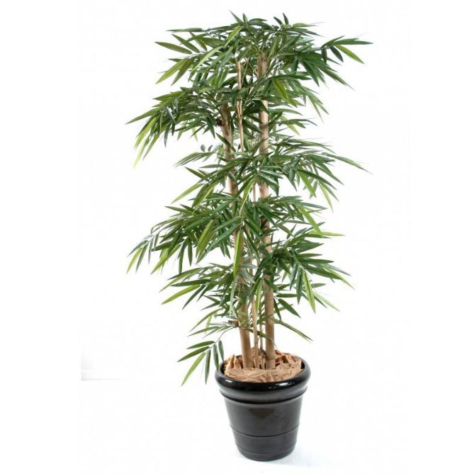 Location Bambou Artificiel 210cm - GP LOCO EVENEMENT